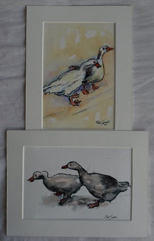 Piet Snel - 2x Aquarel , Ganzen kopen? Bied vanaf 35!