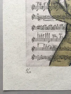 Corneille - ‘Naakt op muziekpapier’ - oplage 20 kopen? Bied vanaf 150!