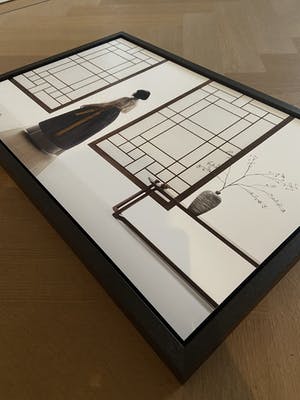 Erwin Olaf - Hidden Curiosity kopen? Bied vanaf 999!