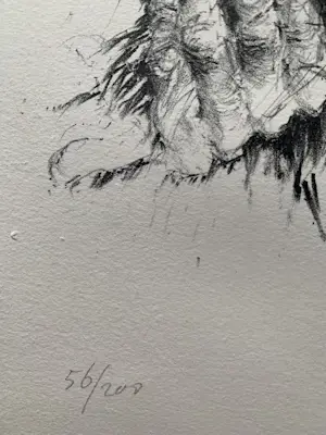 Jan Mensinga - Litho Oude Man met Vogels kopen? Bied vanaf 35!