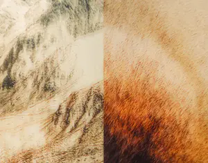 Tineke Schuurmans - Digitale print op plexiglas, Onschuldig landschap - Ingelijst (Zeer groot) kopen? Bied vanaf 250!