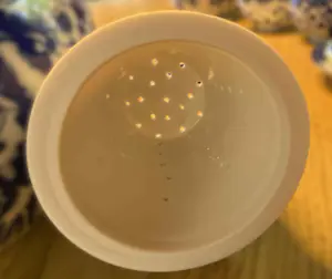 Tokuda Yasokichi - Nritake Tikusei théservies Sakura Blossom - eggshell kopen? Bied vanaf 75!