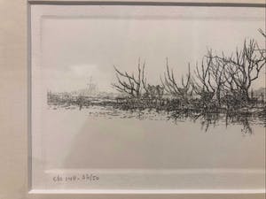 Harmen Kooistra - Bomenrij lang waterkant kopen? Bied vanaf 22!