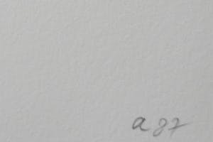 Armando - Der Baum kopen? Bied vanaf 1!