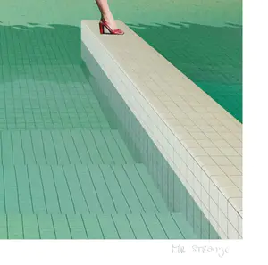 Mr. Strange - La Piscine de l'Hôtel kopen? Bied vanaf 75!
