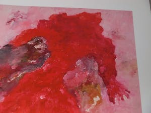 Armando - Rotes Gewand (Rood gewaad), Giclee op katoenpapier. Sublieme kleuren! kopen? Bied vanaf 100!