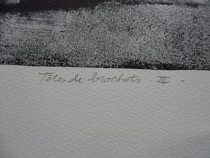 Jean-Baptiste Sécheret - Litho, titel. "Snoekkoppen III ". kopen? Bied vanaf 30!