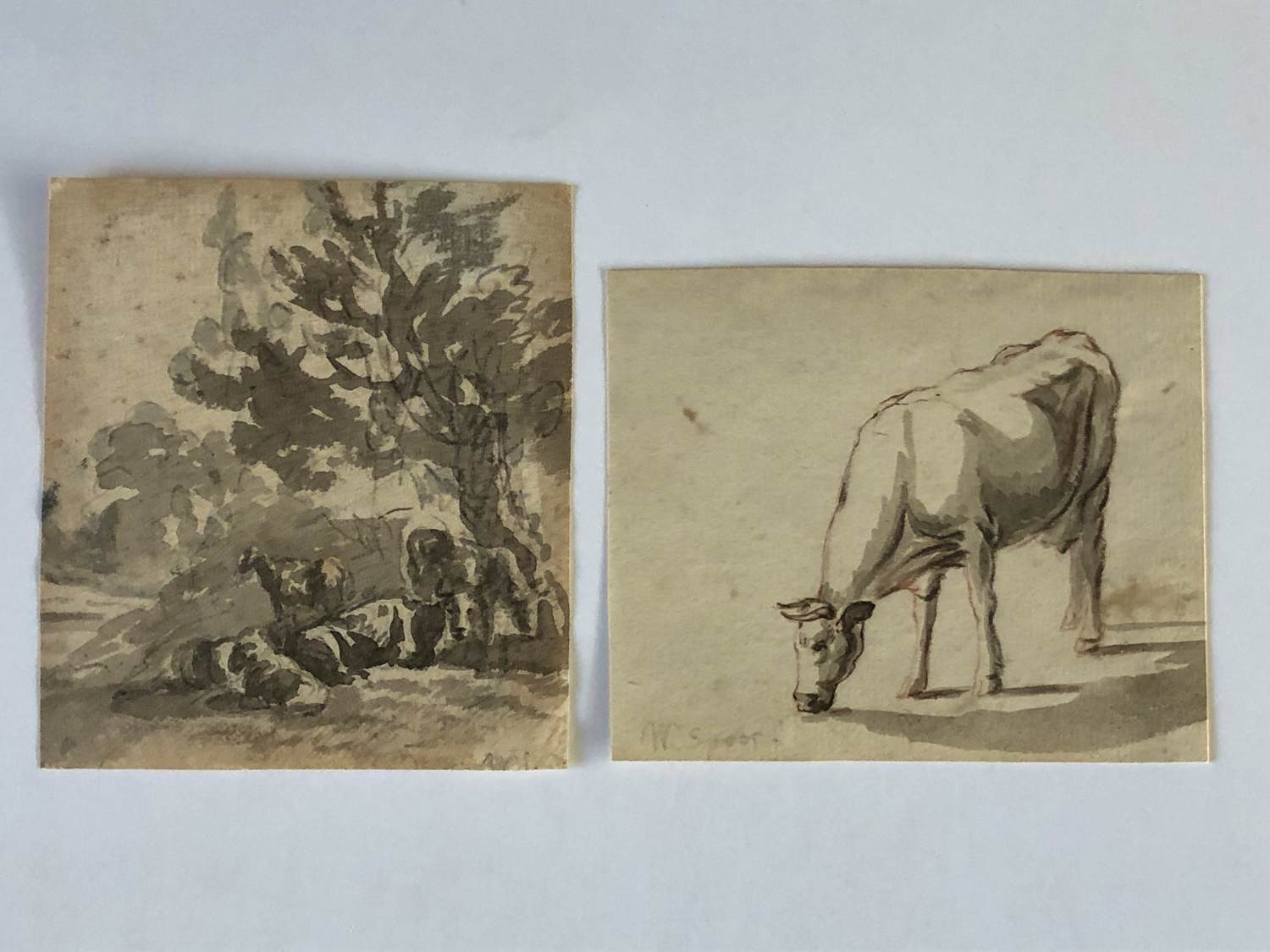 Willem Spoor - Twee sepia's met koeien kopen? Bied vanaf 50!