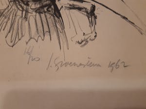 Jan Groenestein - Litho geblinddoekte vrouw 16/20 kopen? Bied vanaf 70!