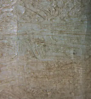 Giljom Ballewijns - Olieverf op doek, Zonder titel kopen? Bied vanaf 50!