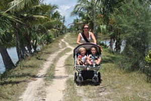 Marianne Bey - Sunflowers / Van Gogh kopen? Bied vanaf 30!