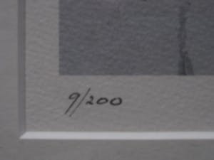 Gert van Reenen - gesigneerd Abstract expressionistisch Litho - oplage 200 - met opdracht kopen? Bied vanaf 10!