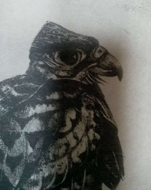 Chris Le Roy - Jonge valk kopen? Bied vanaf 75!