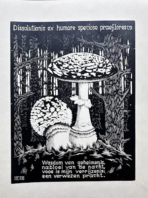 Maurits Cornelis Escher - Paddenstoel kopen? Bied vanaf 1250!