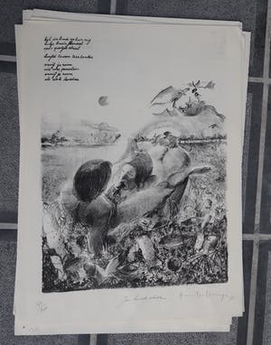 Dees De Bruyne - erotische tekening / naakt kopen? Bied vanaf 75!