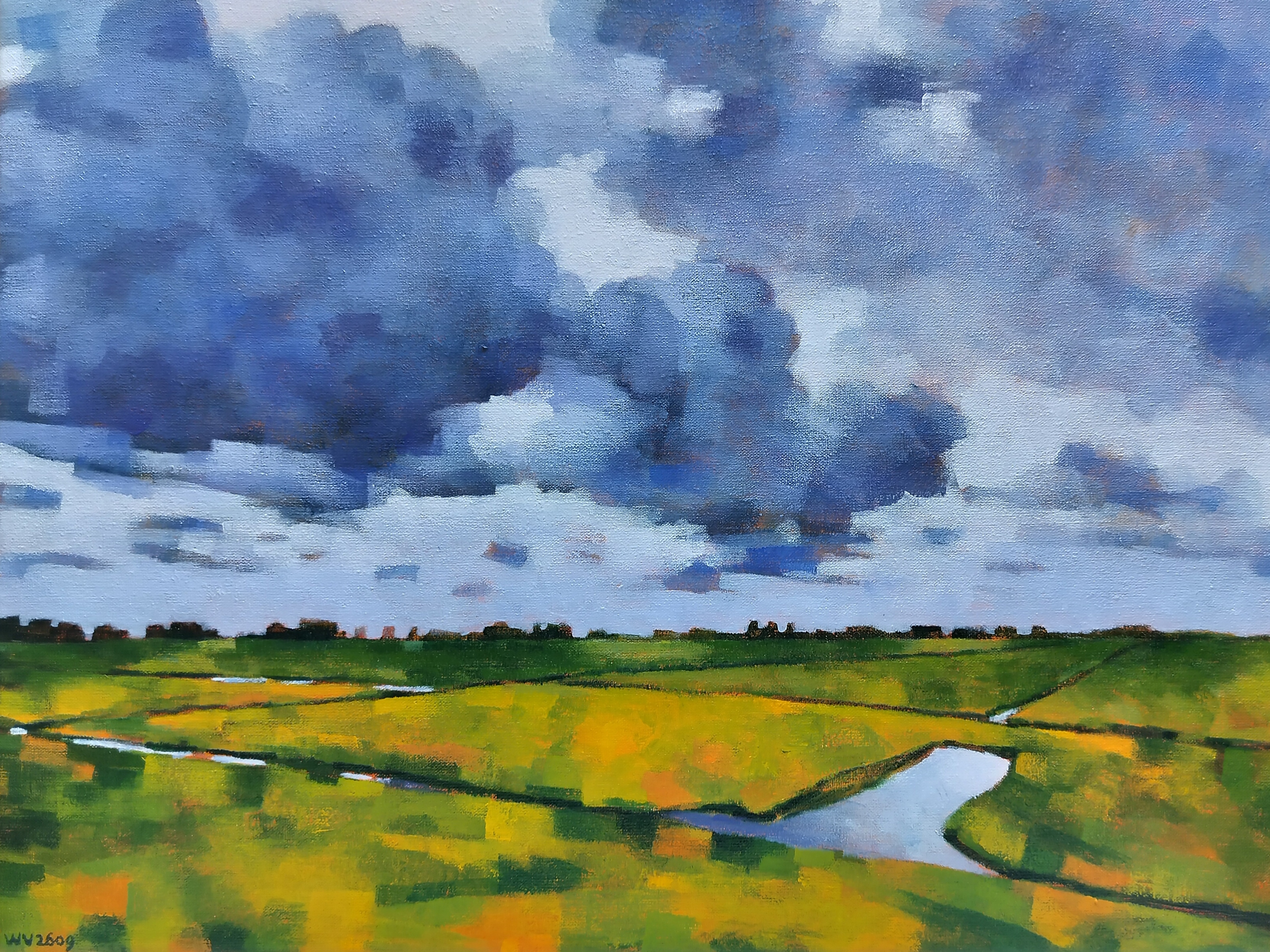 Buy Willem Visser - Polderlandschap Midden-Delfland? Bid from 160!