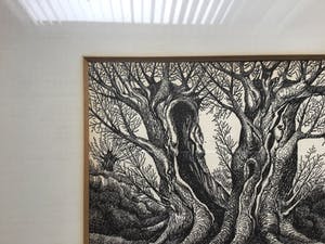 Niet of onleesbaar gesigneerd - Knotwilgen kopen? Bied vanaf 1!