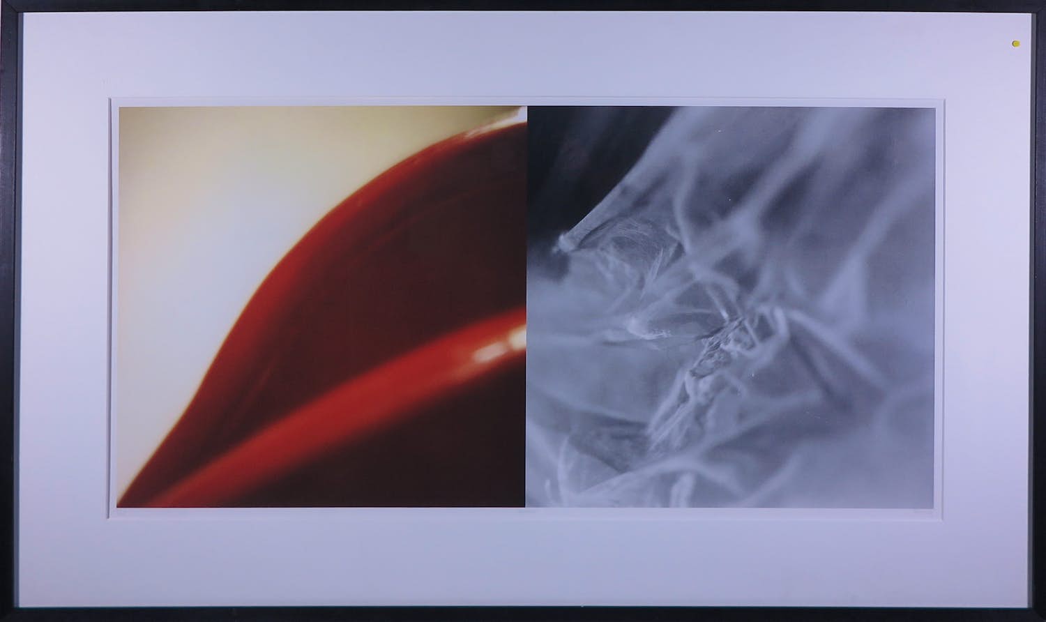 Paul Versteeg - Fotografie, Dynamiek - Ingelijst verkocht voor € 40!