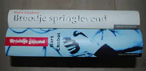 Herman Brood - Vliegtuig - ingelijst canvas op spieraam - incl. 2 hardcover boeken kopen? Bied vanaf 100!