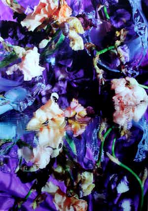 Margriet Smulders - c-print op dibond: dronkenschap - 2003 verkocht voor € 1250!
