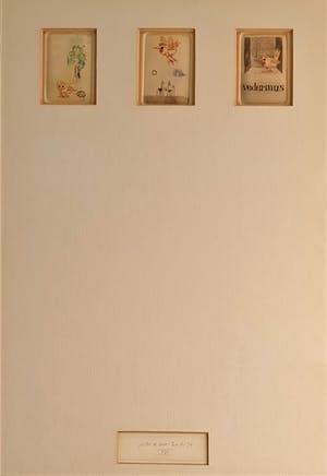 Peter de Leur - Vedermus kopen? Bied vanaf 50!