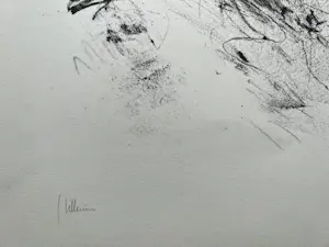 Jaap Hillenius - handgesigneerde litho | Uitgave 'De Luis' | 'XI 1970' kopen? Bied vanaf 50!