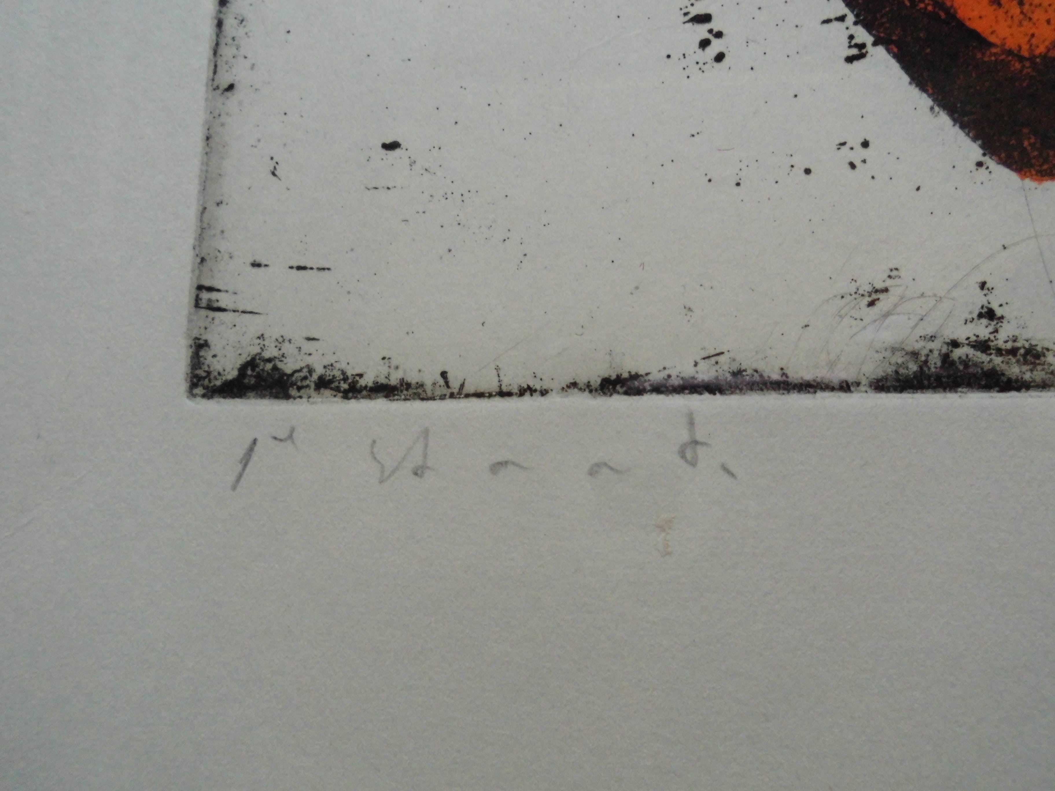 Jan Prins - Ingekleurde Grafiek - Abstract kopen? Bied vanaf 25!