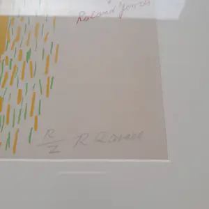 Roger Raveel - Voetbalveld kopen? Bied vanaf 1245!