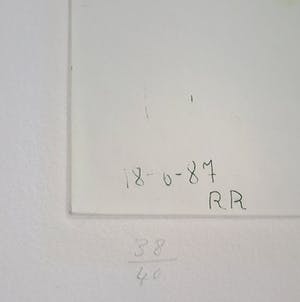 Roger Raveel - De fotografe, aquatint ets (netjes ingelijst) kopen? Bied vanaf 750!