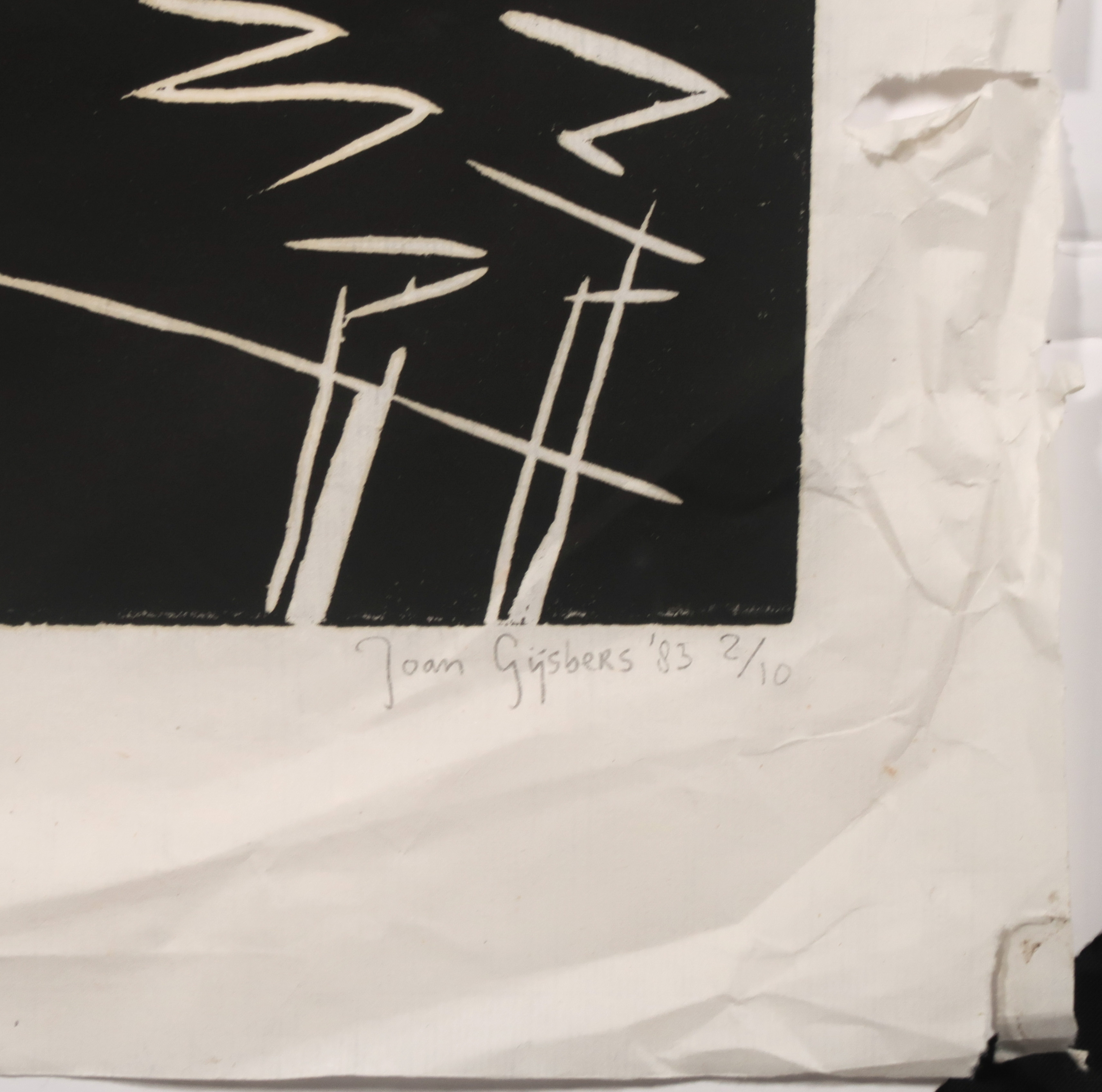 Joan Gijsbers - Lino op Japans papier, Vogels (Groot) kopen? Bied vanaf 20!