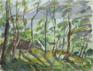 Jan Sluijters (jr.) - Aquarel. Boslandschap kopen? Bied vanaf 1!