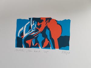 Willem van Hest - Serie Niet Netjes kopen? Bied vanaf 20!