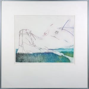 Sylvia Oudkerk - Kleurenets, Ingepakt - Ingelijst kopen? Bied vanaf 1!