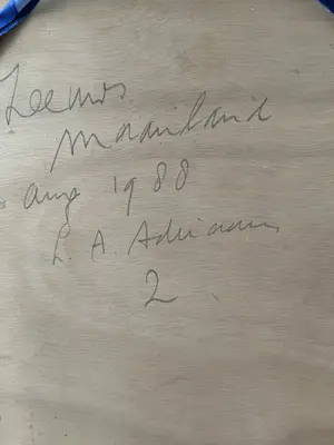 Leon Adriaans - ZEEUWS MAANLAND kopen? Bied vanaf 750!