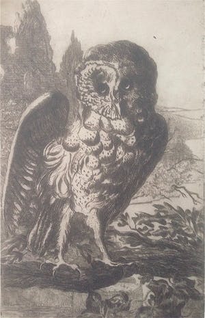 Cornel Kwint - Torenuil kopen? Bied vanaf 35!