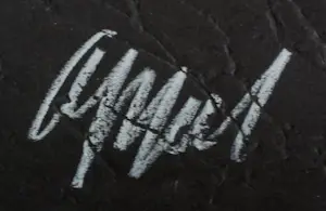 Karel Appel - Houtdruk met carborundum: Circus serie: Tigre de papier - 1978 kopen? Bied vanaf 1999!