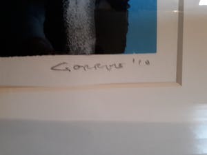 Rik Gorree - Shark kopen? Bied vanaf 40!