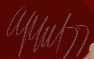 Karel Appel - Ingelijste zeefdruk - 1977 (nette lijst!) kopen? Bied vanaf 1150!