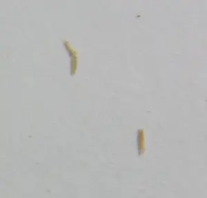 Ilene Themen - Zeefdruk, Figure Scape II - Ingelijst kopen? Bied vanaf 50!