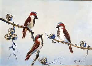 Henk Poeder - Drie kleine vogels in een winterse omgeving verkocht voor € 30!