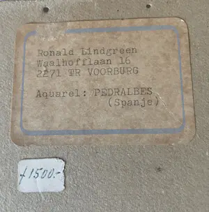 Ronald Lindgreen - Monasterio de Pedralbes kopen? Bied vanaf 50!