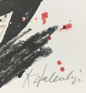 Kees Salentijn - Onbekend kopen? Bied vanaf 1!