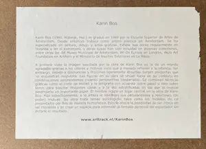 Karin Bos - Zeefdruk: Appearance / disappearance kopen? Bied vanaf 30!