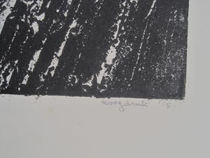 Ronnie Meerts - Grote hoogdruk Linosnede - "albert Einstein" - zeer kleine oplage van 5 ex. kopen? Bied vanaf 23!