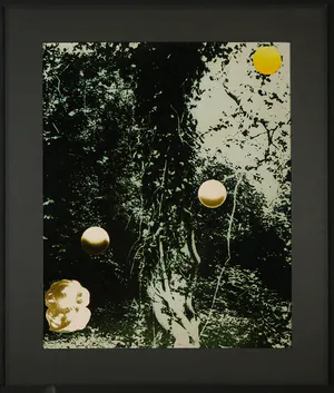 Ruud Aarbodem - Fotomontage, Zonnen kopen? Bied vanaf 1!