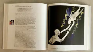 Leon Adriaans - Het leven schilderen is pakkend! kopen? Bied vanaf 50!