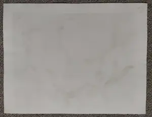 Kuno Brinks - Ossekoppen kopen? Bied vanaf 80!