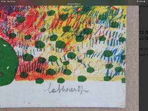 Jan Cobbaert - afgeprijst : prachtige genummerde en gesigneerde litho kopen? Bied vanaf 69!