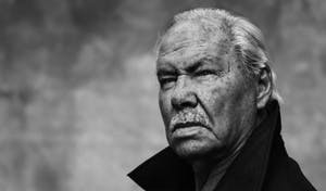 Armando - Waldrand! Giclee op katoenpapier. kopen? Bied vanaf 99!