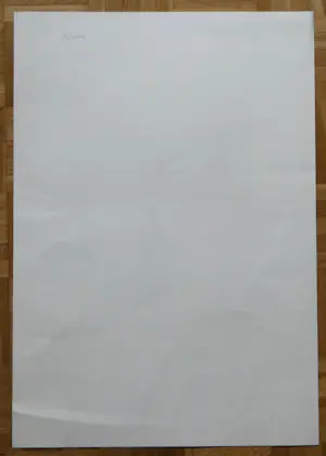 Buy Camille d'Havé - "What the monkey didn't understand"? Bid from 60!